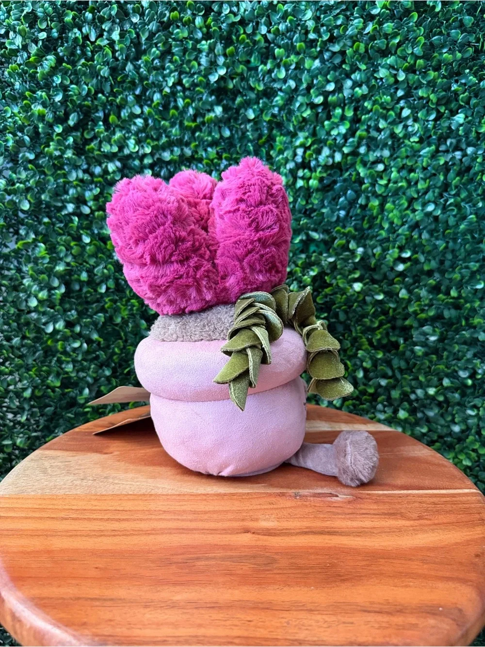 Greenhouse by Russ Margo the Succulent 12” Plush